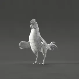 Rooster